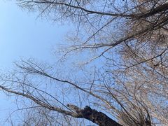 -沈阳鸟岛