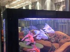 -美姿水荟美食水疗