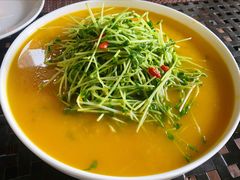 尼泊尔金汤豌豆苗-肴约·花园式餐厅(湖里店)