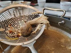 -八合里潮汕鲜牛肉火锅(深圳海岸城店)