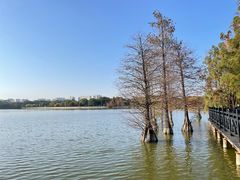 -海珠湖公园