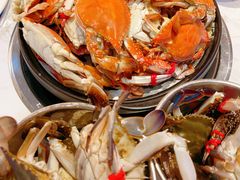-半岛听涛蒸汽海鲜自助(K11店)