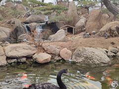 -罗红摄影艺术馆