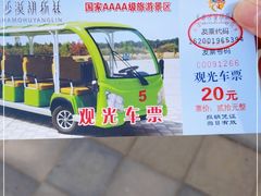 -金塔沙漠胡杨林景区