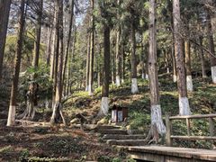 -莫干山风景区