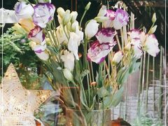-都氏家DUSJOY(翡翠城店)