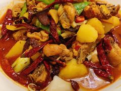 新疆大盘鸡-新疆红柳花餐厅(新洲店)