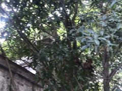 -蒋氏故居