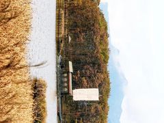 -大九湖
