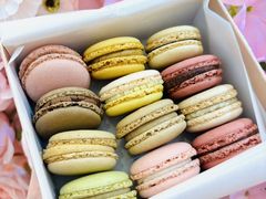 -Pierre Marcolini(德基广场店)