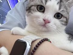 -pd派德宠物中心医院24H急重症·眼科中心·血液透析中心(嵩山北路店)