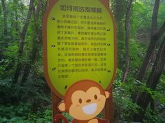-大岭沟猕猴桃谷风景区