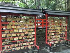 -野宫神社