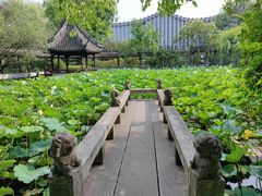-上海醉白池公园
