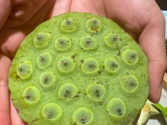 -茂业天地(华强北店)