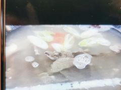 -饶福记·南昌烧烤大排档(九龙湖土著店)