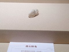 -南越王博物院(王宫展区)