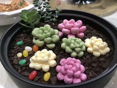 -好利来(内双楠店)