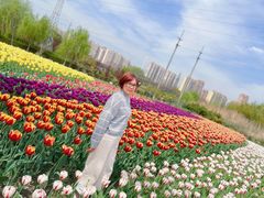 -菊园百果园