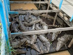-洞里萨湖