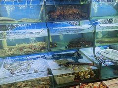 -桔子海鲜烧烤大排档(台东店)