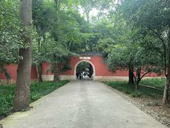 -灵谷景区