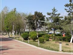 -莫子山公园