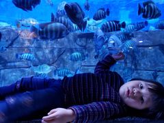 -成都浩海立方海洋公园