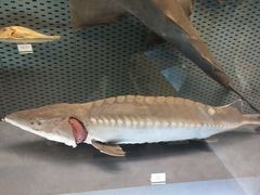 -浙江自然博物院(杭州馆)