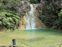 -南海湾森林生态园