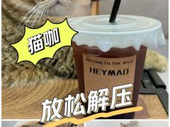 -Heymao猫咖.咖啡厅(东门店)