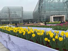 -南山植物园