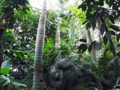 景点-祥源·阜阳生态乐园