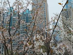 -西北湖绿化广场