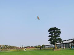 -迪茵湖田家舍生态农场