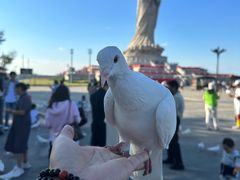 -天津妈祖文化园