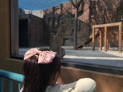 -海合安武汉极地海洋公园