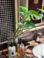 -尊尚柏丽美容SPA