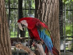 -北京野生动物园