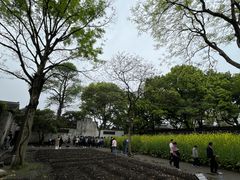 -绍兴鲁迅故里·沈园景区