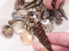 -惠州金海湾嘉华度假酒店