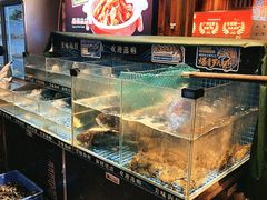 -熊记虾王·小龙虾(东晓南店)
