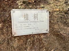 -上坦村
