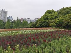 -世纪公园-1号门停车场