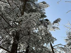 -九峰山