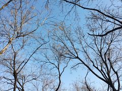 -大海碗·京菜炸酱面(雍和宫店)