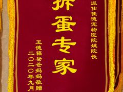 -北京派仕佳德动物医院·超导核磁·CT·神经科·骨科·内外科·急重症管理中心