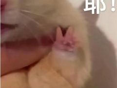 -苏州科技大学（石湖校区）二食堂