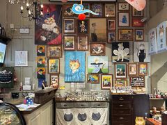 -猫咪博物馆(顶澳仔猫街店)