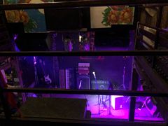 -后巷酒吧Back Alley(未来广场店)